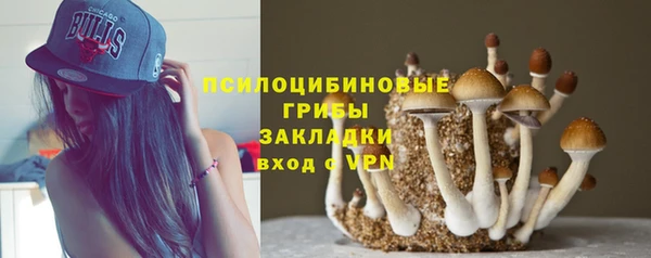 кокс Белокуриха
